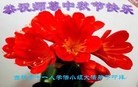 ֹ,д󷨵ӹףʦ(27)
