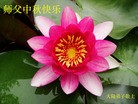 Published on 9/27/2015 ���ֹ�,��½�󷨵��ӹ�ףʦ�������(33��)
