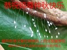 ֹ,Ϋ󷨵ӹףʦ(28)
