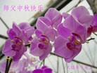Published on 9/27/2015 ���ֹ�,��½�󷨵��ӹ�ףʦ�������(33��)
