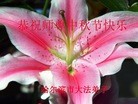ֹ,󷨵ӹףʦ(24)
