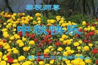 ֹ,󷨵ӹףʦ(23)
