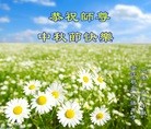 Published on 9/28/2015 ���ֹ�,��½�󷨵��ӹ�ףʦ������ã�70����
