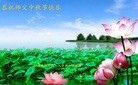 ֹ,Ĵ󷨵ӹףʦ(29)
