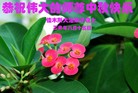 ֹ,ľ˹󷨵ӹףʦ(29)
