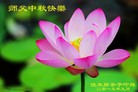 ֹ,ľ˹󷨵ӹףʦ(29)
