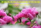 ֹ,ľ˹󷨵ӹףʦ(29)
