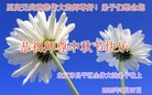 ֹ,󷨵ӹףʦ(27)

