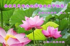 Published on 9/28/2015 ���ֹ�,��½�󷨵��ӹ�ףʦ������ã�70����

