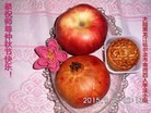 ֹ,󷨵ӹףʦ(25)
