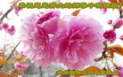 ֹ,ľ˹󷨵ӹףʦ(29)
