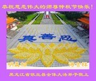 ֹ,󷨵ӹףʦ(25)
