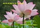 ֹ,ϴ󷨵ӹףʦ(28)
