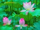 ֹ,㶫󷨵ӹףʦ(26)

