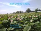 Published on 9/27/2015 ���ֹ�,��½�󷨵��ӹ�ףʦ��������֣�86����
