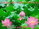 Published on 9/27/2015 ���ֹ�,��½�󷨵��ӹ�ףʦ��������֣�82����
