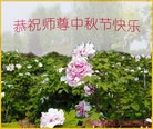 Published on 9/27/2015 ���ֹ�,��½�󷨵��ӹ�ףʦ��������֣�82����
