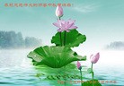 Published on 9/27/2015 ���ֹ�,��½�󷨵��ӹ�ףʦ��������֣�118����
