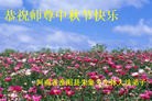 Published on 9/27/2015 ���ֹ�,��½�󷨵��ӹ�ףʦ��������֣�118����
