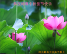 Published on 9/28/2015 ���ֹ�,��½�󷨵��ӹ�ףʦ������ã�123����
