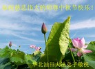Published on 9/28/2015 ���ֹ�,��½�󷨵��ӹ�ףʦ������ã�70����
