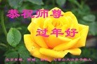 ֹ,󷨵ӹףʦ(20)
