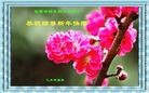 ֹ,մ󷨵ӹףʦ(20)
