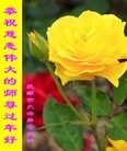 Published on 2/9/2016 ���ֹ�,��½�󷨵��ӹ�ףʦ�������(21��)
