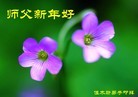 Published on 2/9/2016 ���ֹ�,��½�󷨵��ӹ�ףʦ�������(28��)

