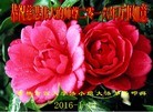 ֹ,д󷨵ӹףʦ(22)
