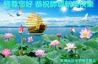 ֹ,ൺ󷨵ӹףʦ(21)
