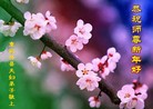 ֹ,󷨵ӹףʦ(22)
