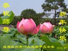 ֹ,ɶ󷨵ӹףʦ(21)
