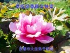 Published on 2/9/2016 ���ֹ�,��½�󷨵��ӹ�ףʦ�������(28��)
