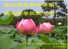 Published on 2/8/2016 ���ֹ�,��½�󷨵��ӹ�ףʦ�������(25��)
