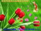 ֹ,󷨵ӹףʦ(21)
