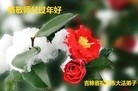 ֹ,ʡ󷨵ӹףʦ(21)

