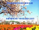 ֹ,ʡ󷨵ӹףʦ(19)
