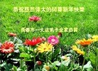 ֹ,ʡ󷨵ӹףʦ(19)
