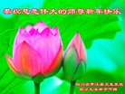Published on 2/7/2016 ���ֹ�,��½�󷨵��ӹ�ףʦ������(28��)
