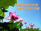 ֹ,ʡ󷨵ӹףʦ(19)
