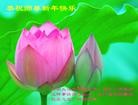 ֹ,ϴ󷨵ӹףʦ(24)
