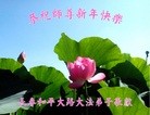 ֹ,ʡ󷨵ӹףʦ(19)
