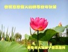 ֹ,ʡ󷨵ӹףʦ(19)

