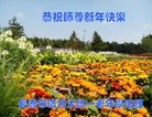 ֹ,ʡ󷨵ӹףʦ(19)

