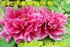 ֹ,󷨵ӹףʦ(25)
