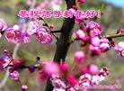 ֹ,ʡ󷨵ӹףʦ(21)
