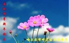 Published on 2/7/2016 ���ֹ�,��½�󷨵��ӹ�ףʦ������(27��)
