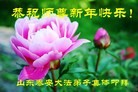 Published on 2/7/2016 ���ֹ�,��½�󷨵��ӹ�ףʦ������(27��)

