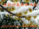 Published on 2/7/2016 ���ֹ�,��½�󷨵��ӹ�ףʦ������(27��)
